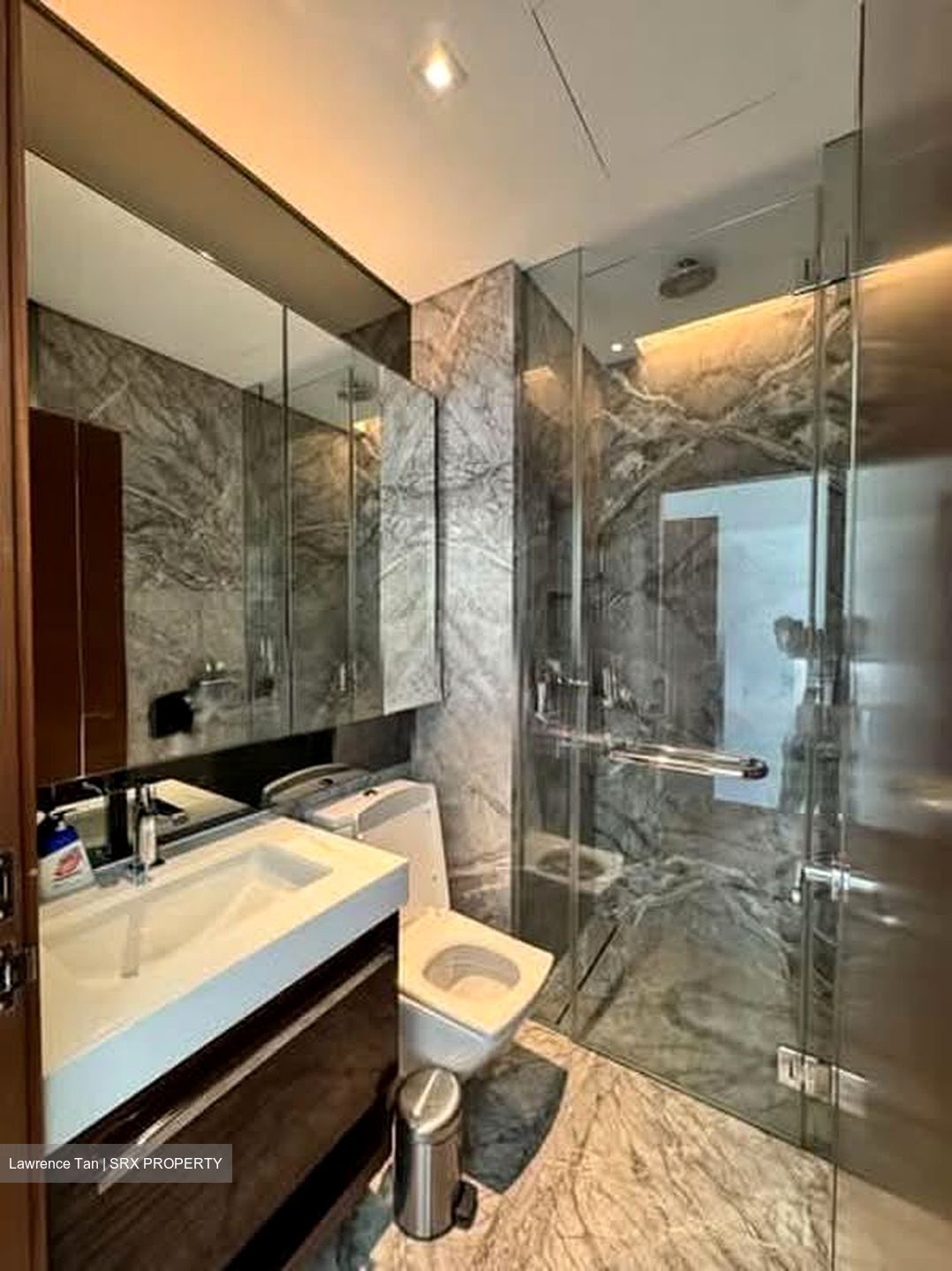 The Orchard Residences (D9), Apartment #564055601